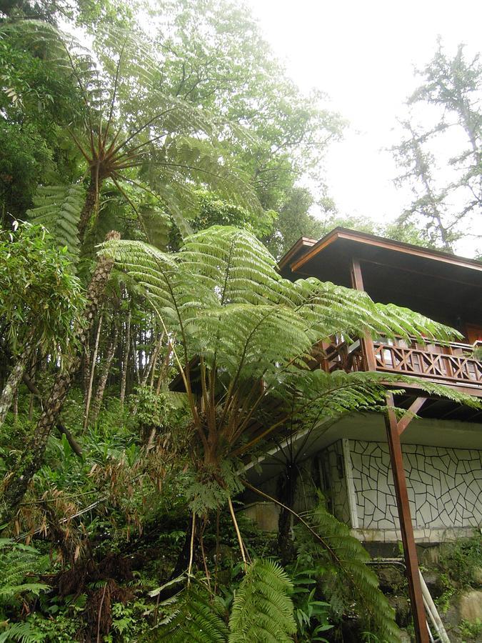 Fumei Bluebird Homestay Nanzhuang Bagian luar foto