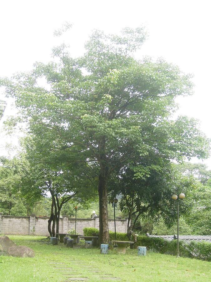 Fumei Bluebird Homestay Nanzhuang Bagian luar foto